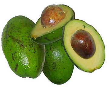avocado2